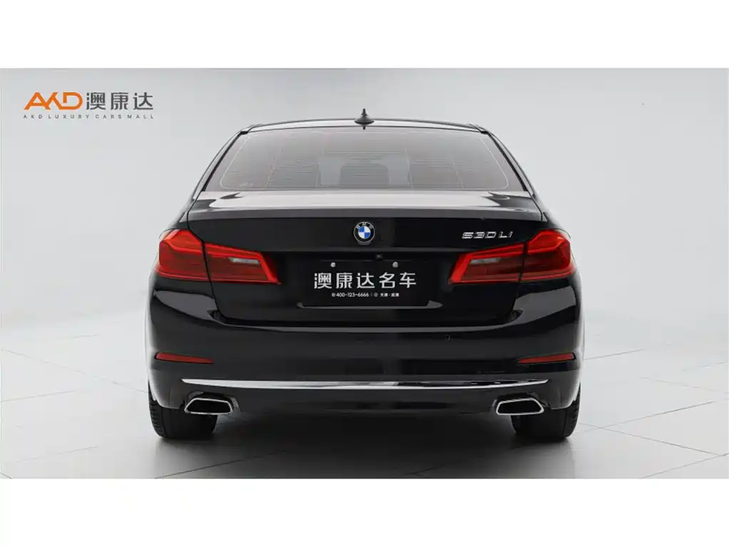 BMW 5 Series 2020 530Li Premium Luxury Package фото 4