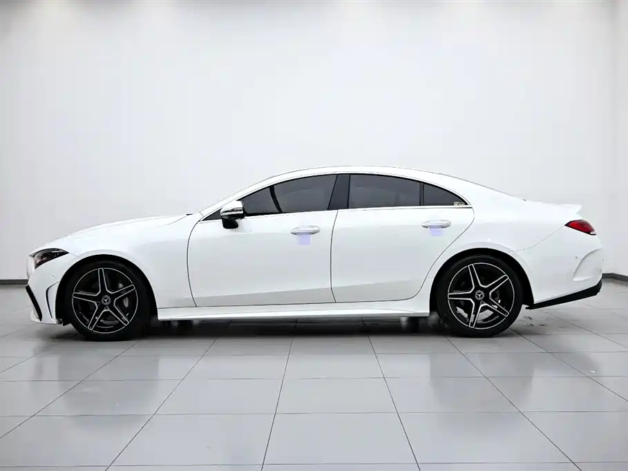 Mercedes-Benz CLS 2022 CLS 300 Luxury фото 5