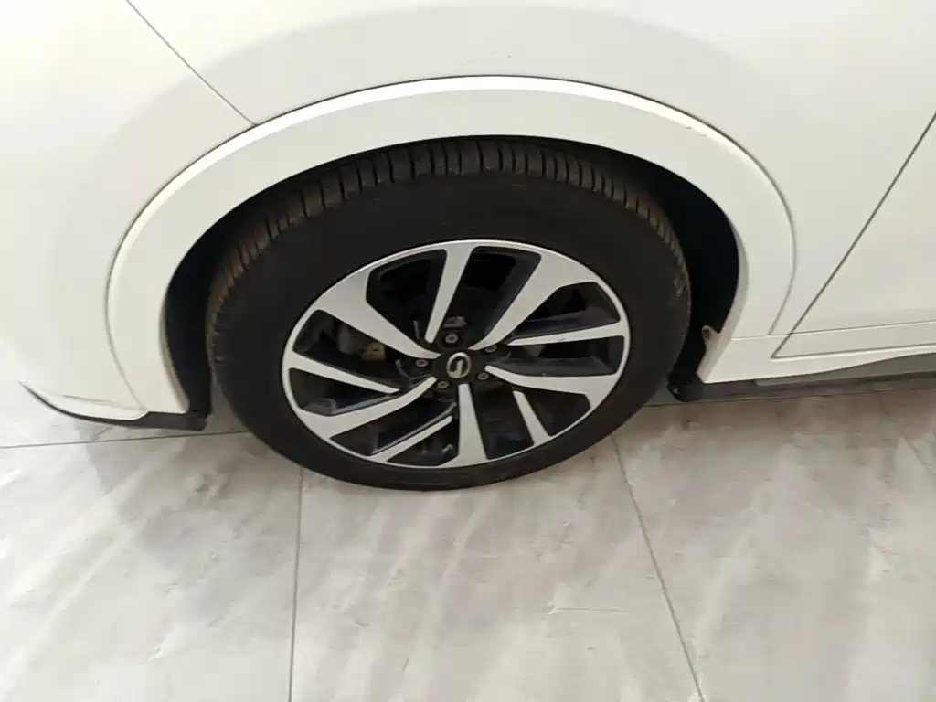 GAC Group Qizhi EV 2019 2019 EV530 Frontline Edition