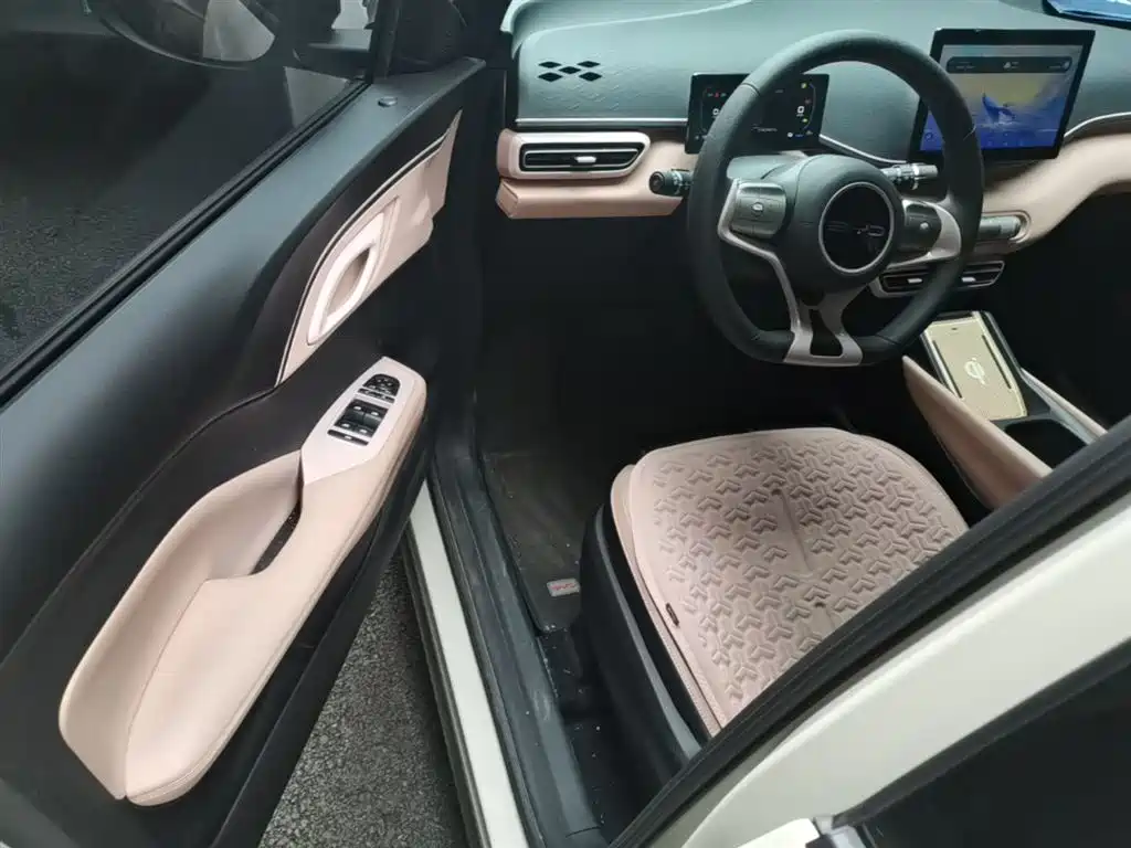 BYD Seagull 2023 Vitality Edition фото 16