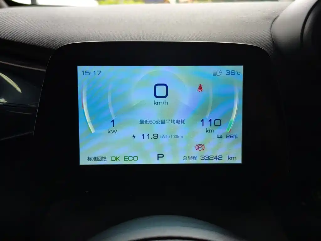 BYD Dolphin 2022 2021 401km Knight Edition