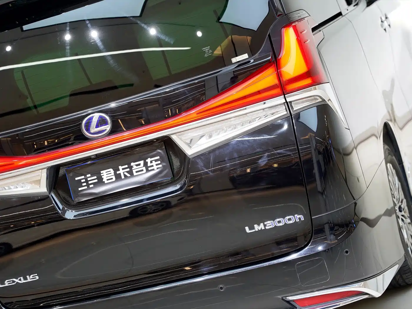 Lexus LM 2020 300h 4-Seat Imperial Edition фото 8