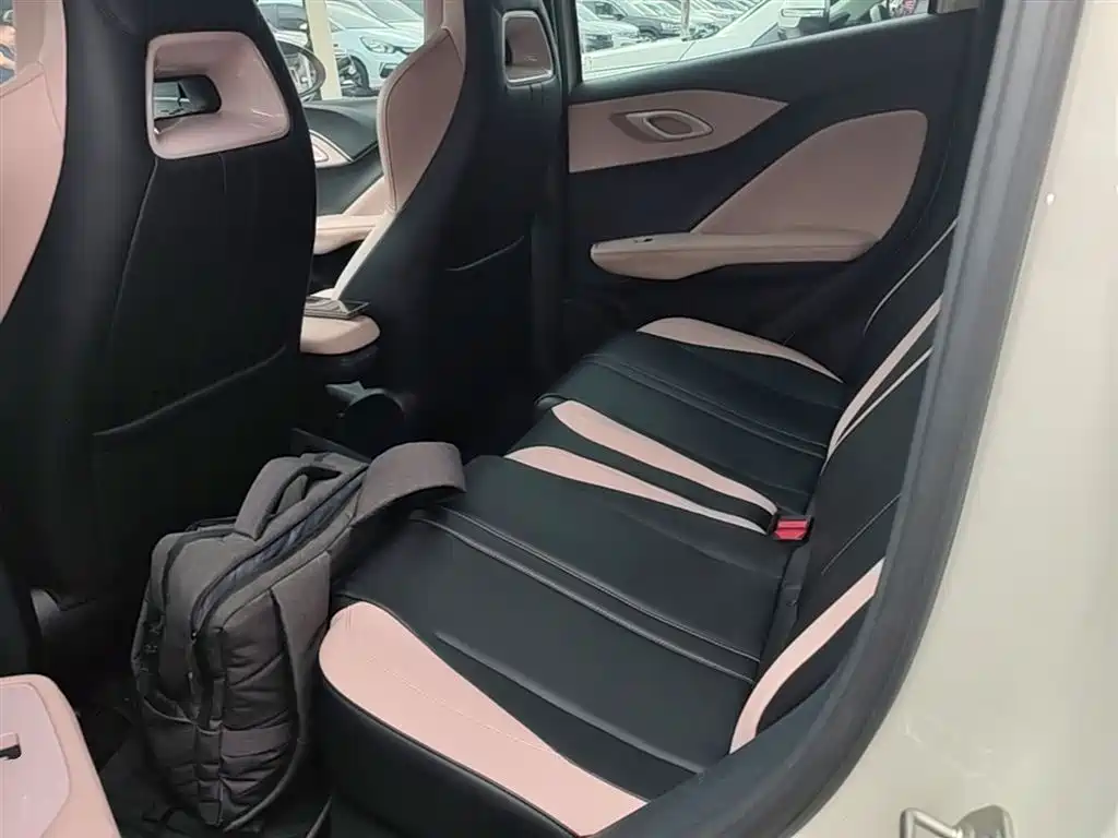 BYD Seagull 2023 Freedom Edition фото 17