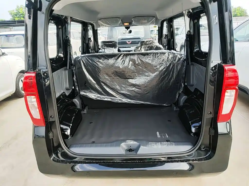 Wuling Motors Wuling Zhiguang NEV 2026 2025 Model 305km Base Version