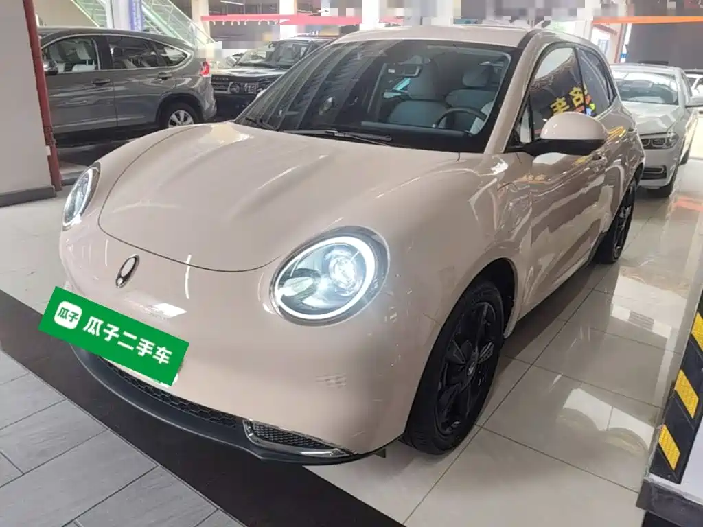 Ora Good Cat 2025 2024 401km Luxury