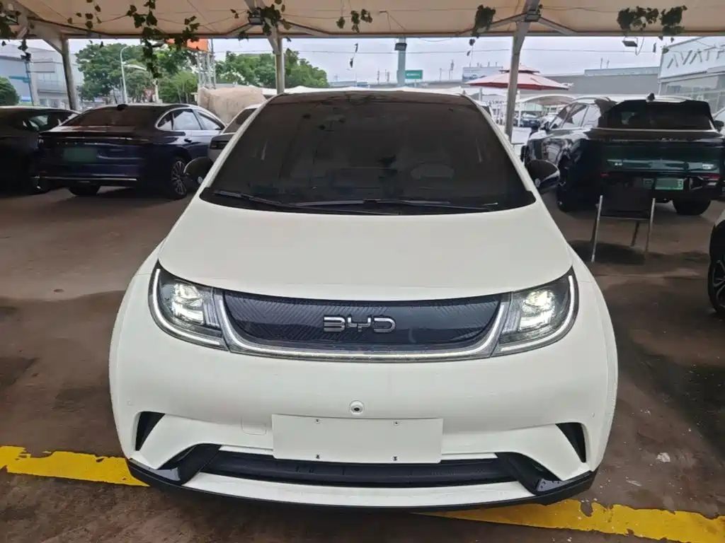 Фото 3 - BYD Dolphin
