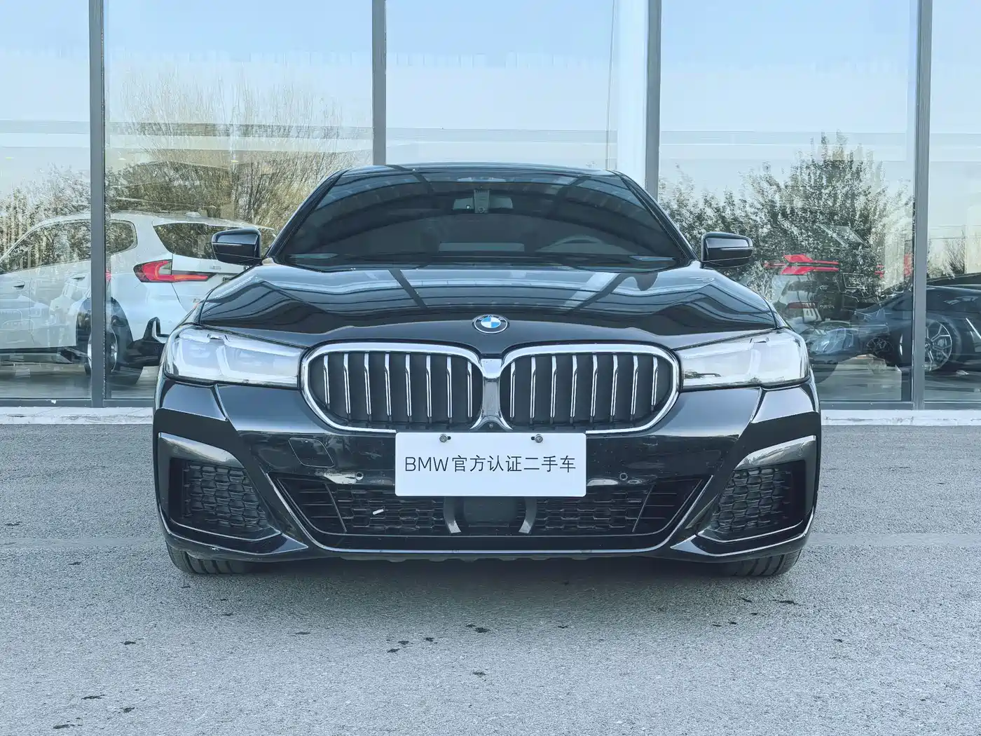 BMW 5 SERIES NEW ENERGY