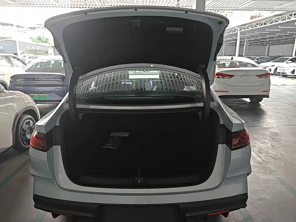 BYD Qin L 2024 DM-i 80KM Leading Edition фото 19