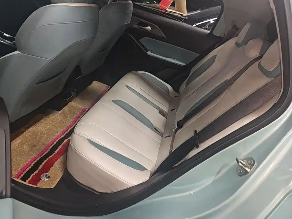 Geely Geometry E Firefly 2024 2024 Model 301km Starlight