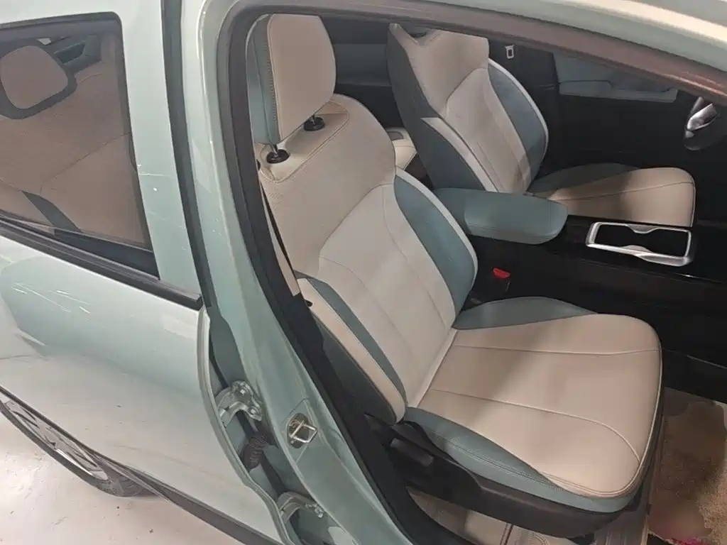 Geely Geometry E Firefly 2024 2024 Model 301km Starlight