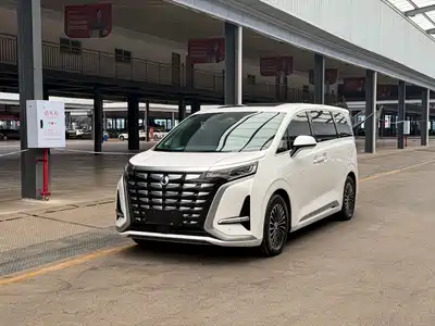 Denza D9