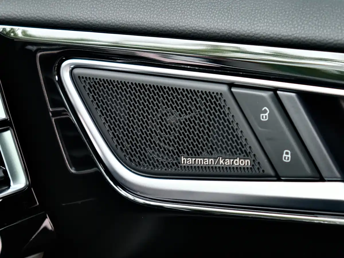 Volkswagen Teramont 2024 530 V6 4WD Dragon Auspicious Edition фото 7