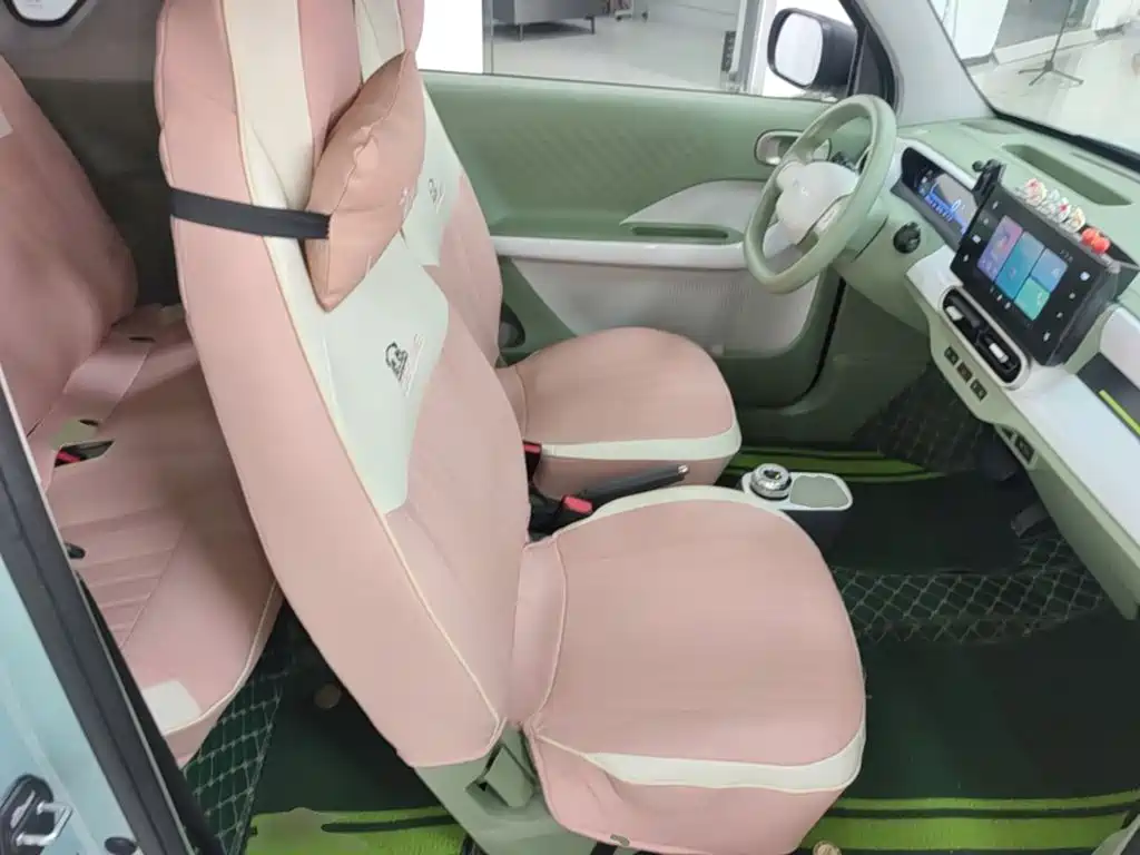 Фото 25 - Geely Galaxy Panda