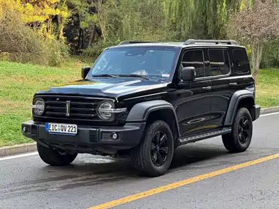 Tank 300