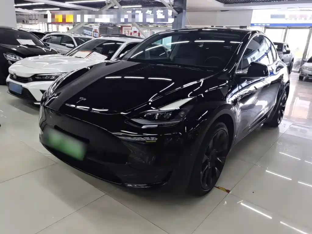 Tesla Model Y 2022 Rear-Wheel Drive Version