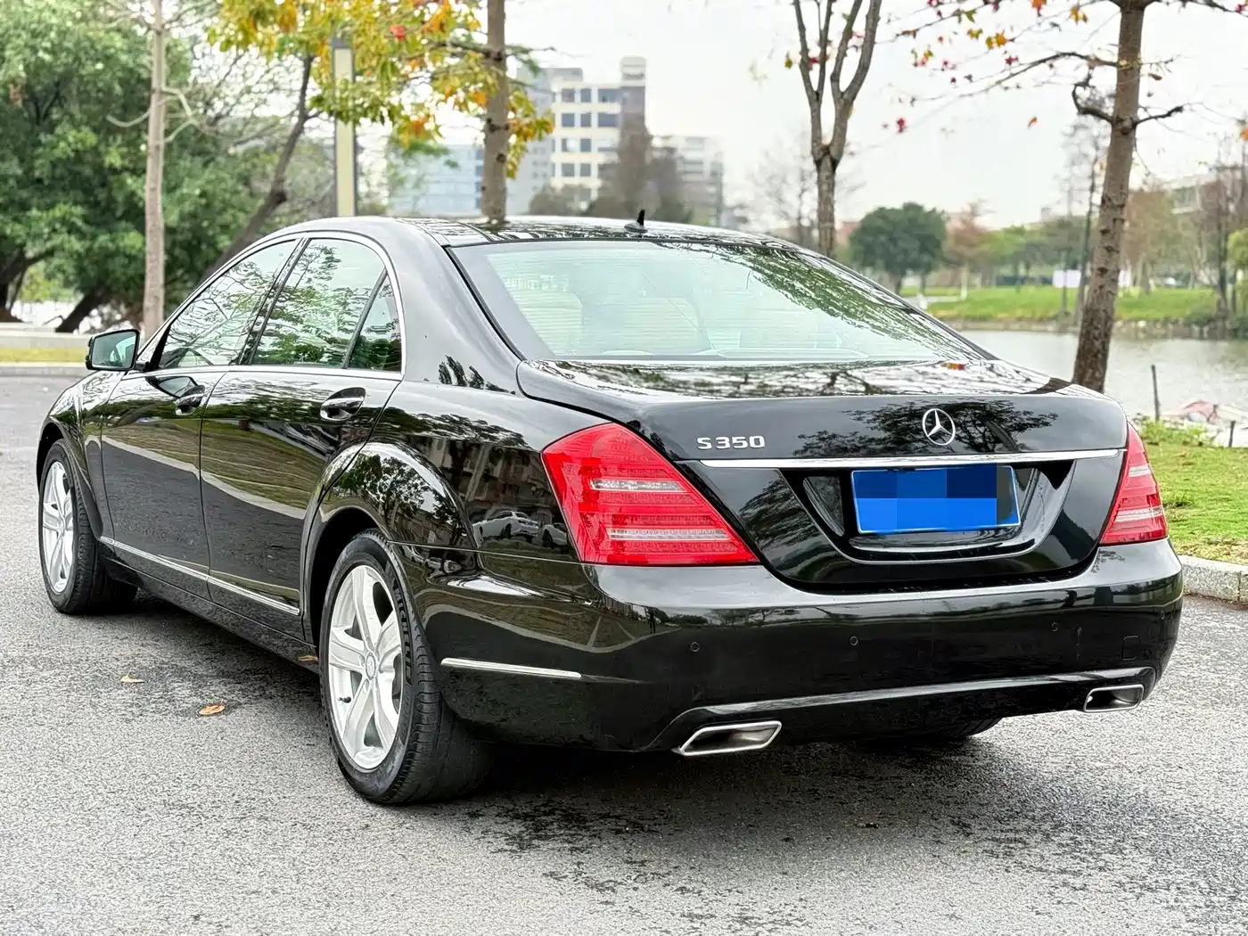 Mercedes-Benz S-Class 2010 S 350 L Luxury фото 3