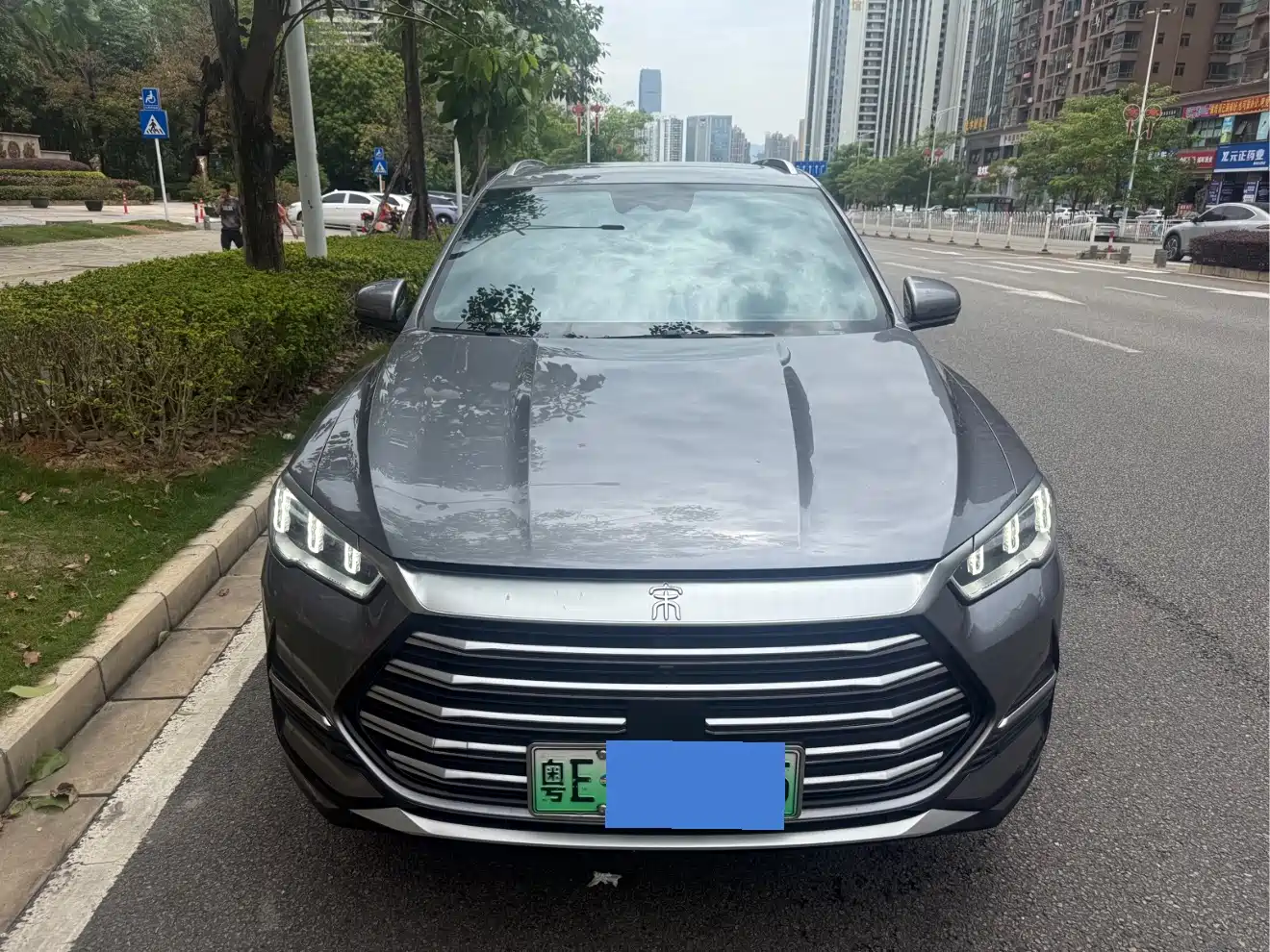 BYD Song Pro New Energy 2022 DM-i 51km Luxury фото 2