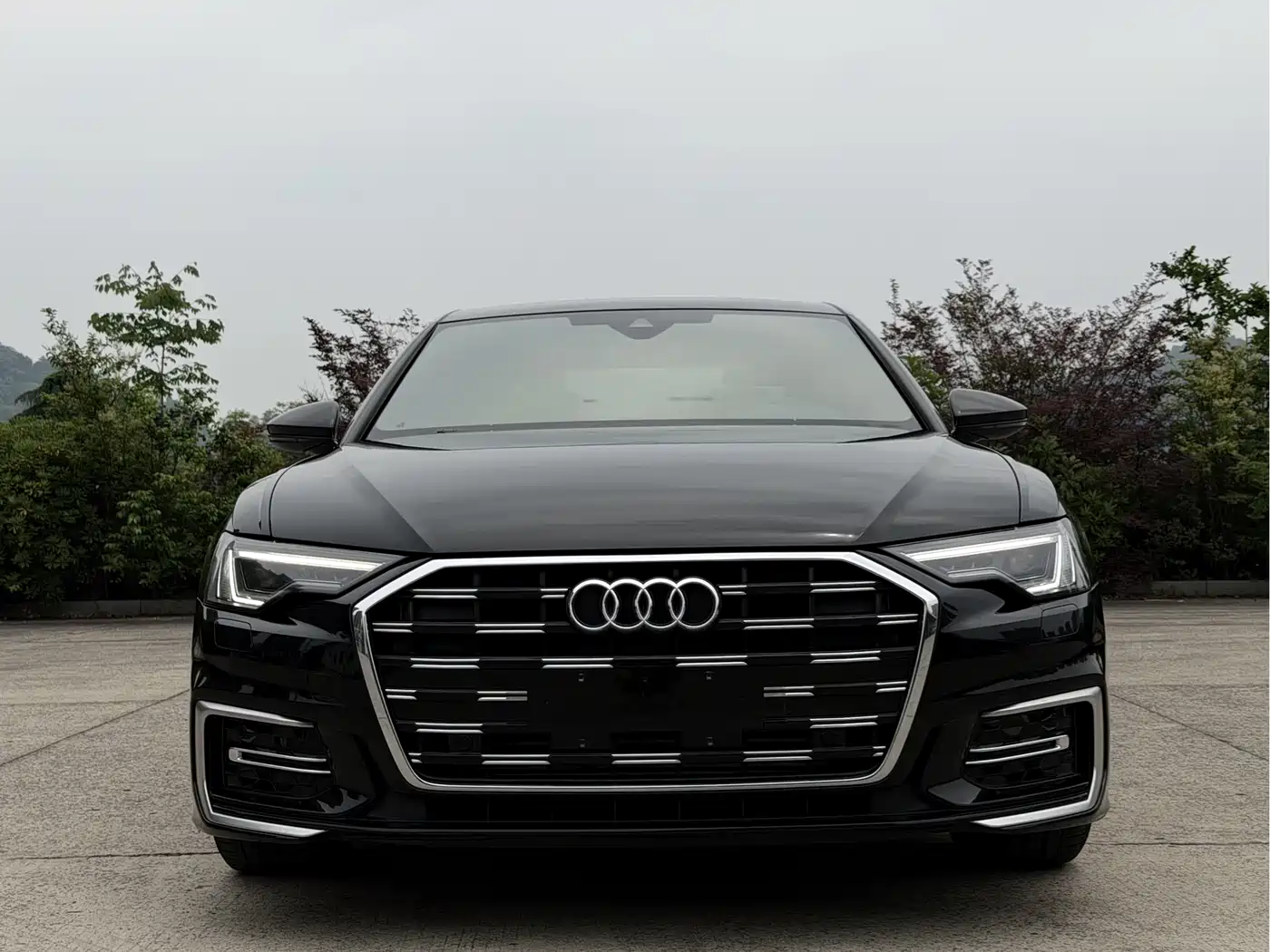Audi A6L 2023 40 TFSI Luxury Dynamic