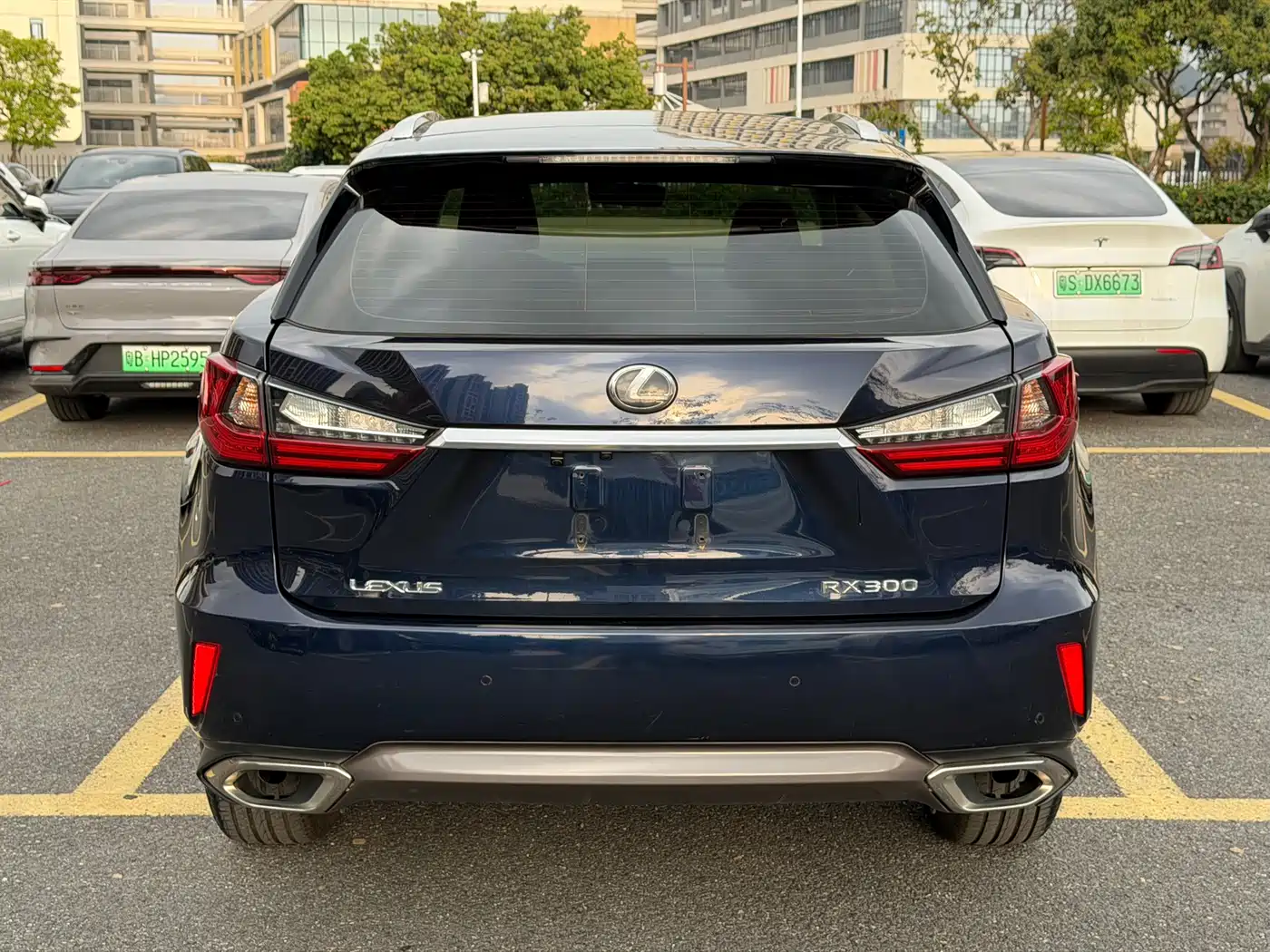 Lexus RX 2016 300 2WD Elite Edition China VI фото 6
