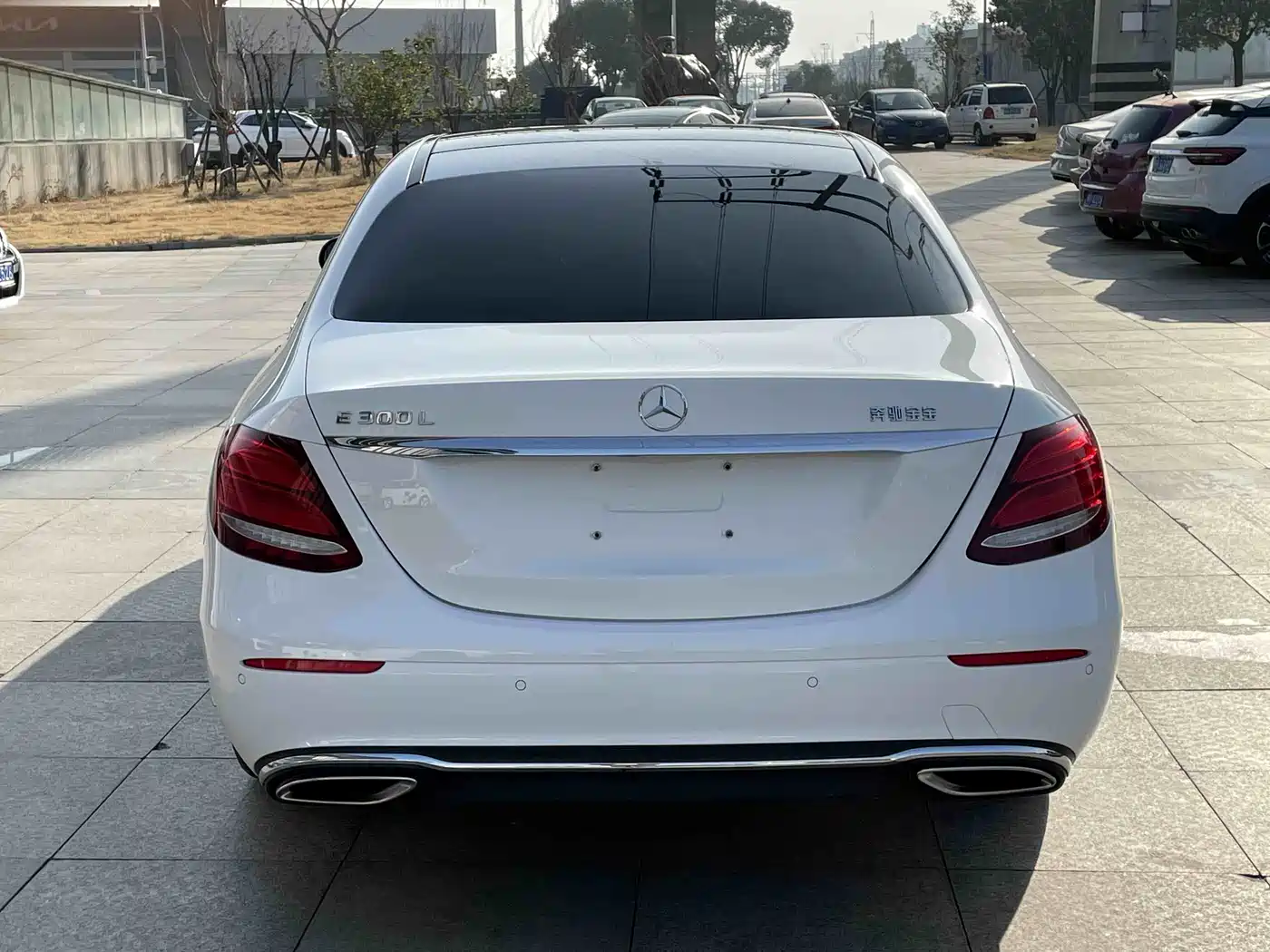 Mercedes-Benz E-Class 2017 E 300 L Luxury фото 29