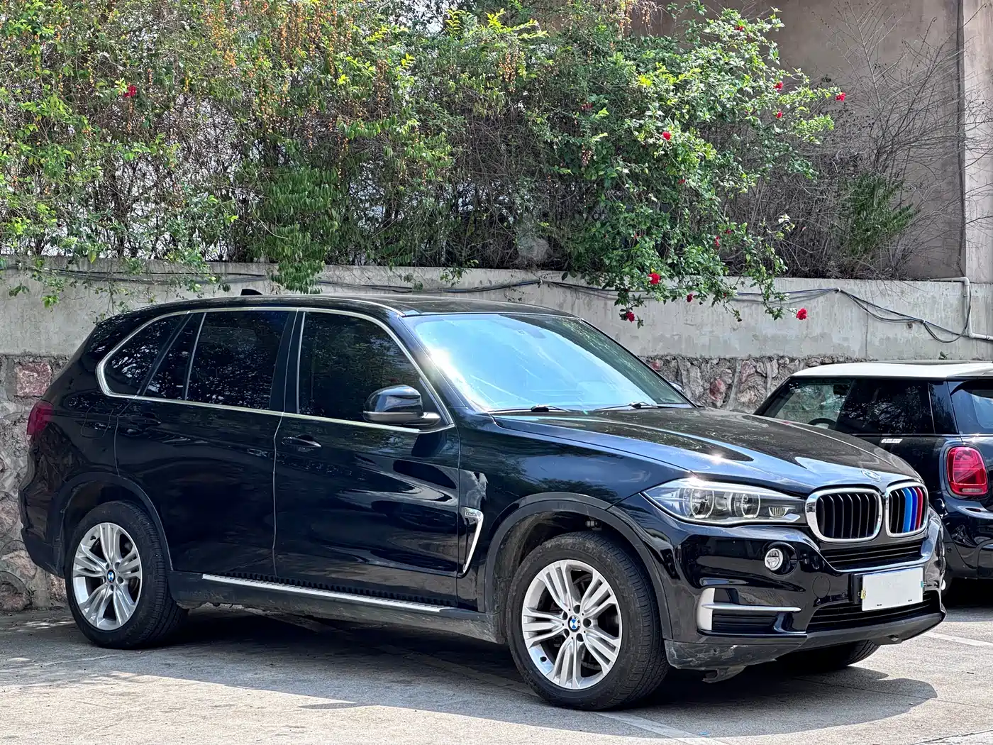 BMW X5 (Import) 2014 xDrive35i Leading фото 3