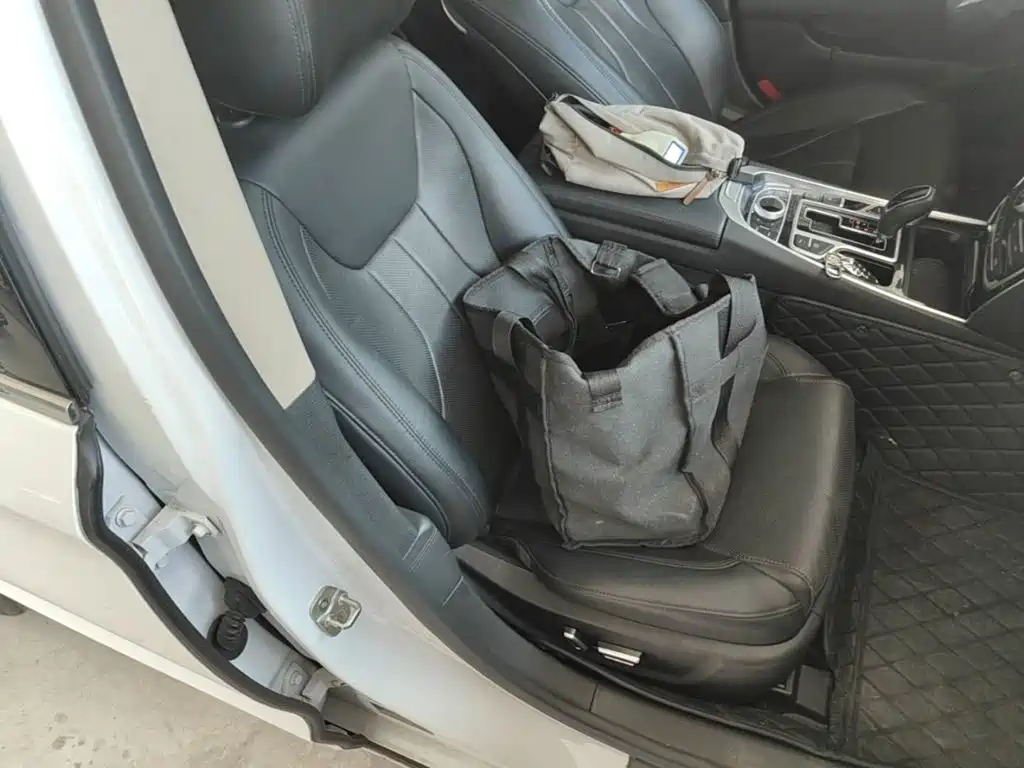 Фото 25 - Geely Borui