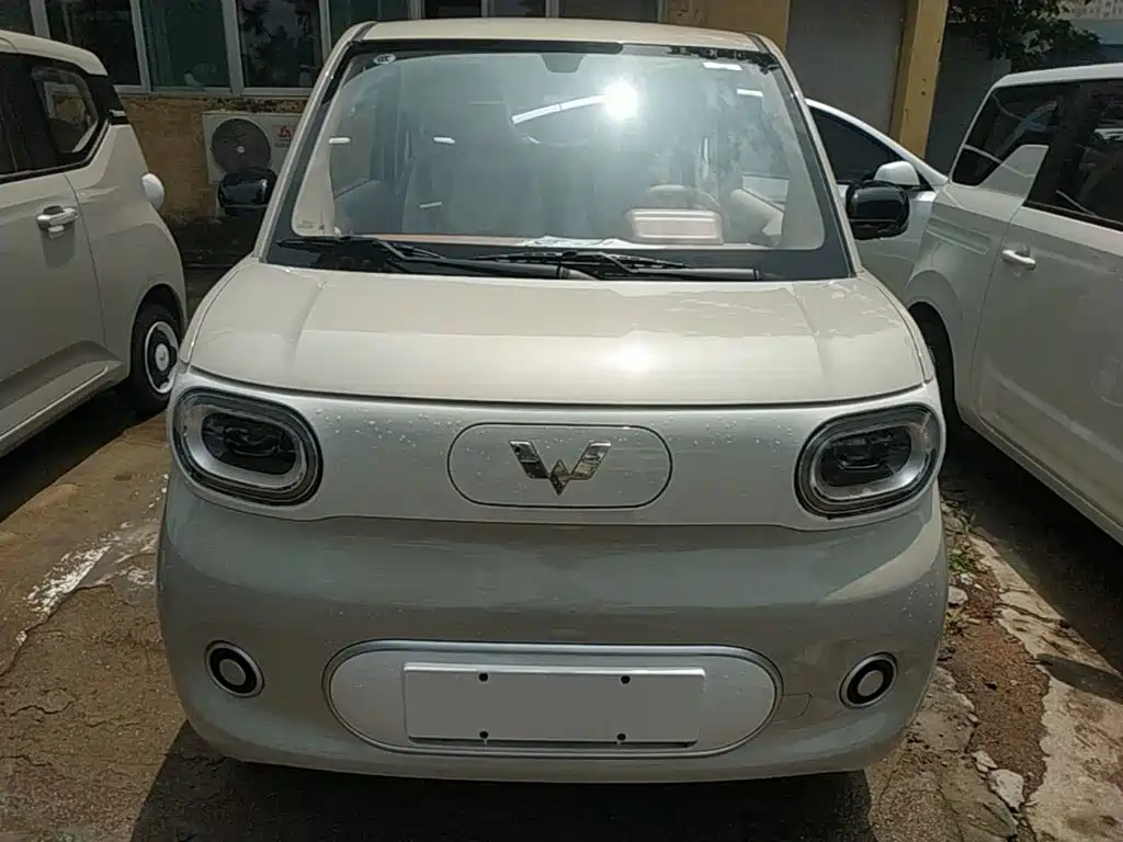 Фото 3 - Wuling Motors Hongguang MINIEV