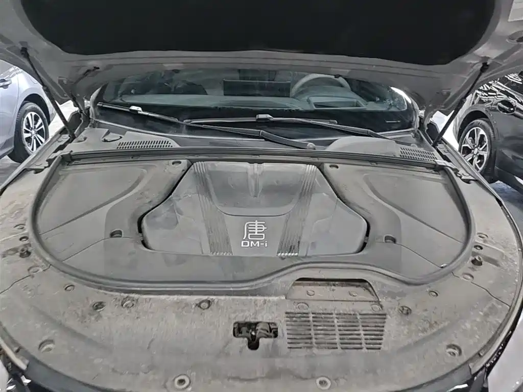 BYD Tang New Energy 2025 Smart Driving Edition DM-i 115KM Flagship фото 20