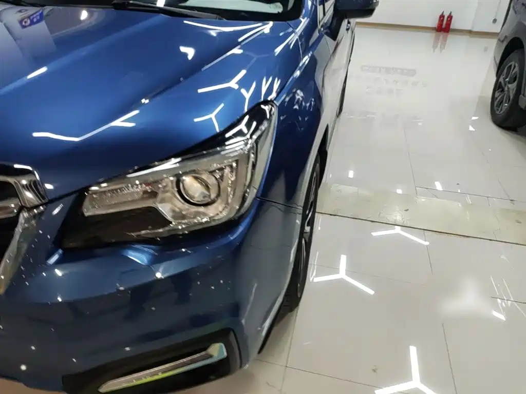 Subaru Forester 2018 2.5i Luxury Navigation Edition фото 24