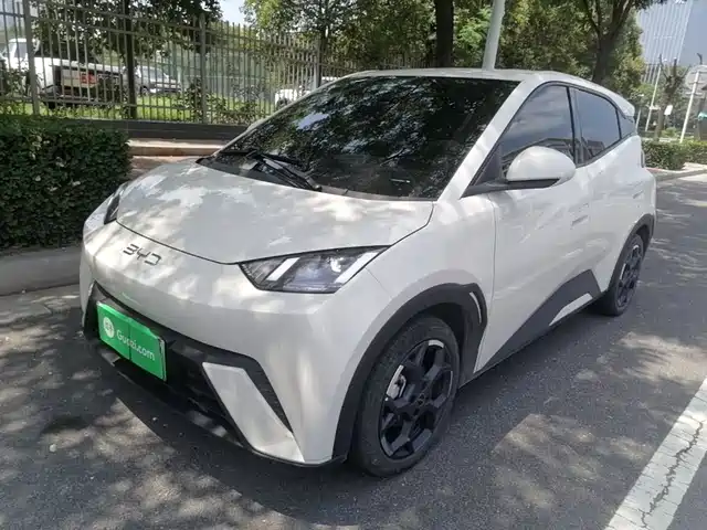 BYD Seagull 2024