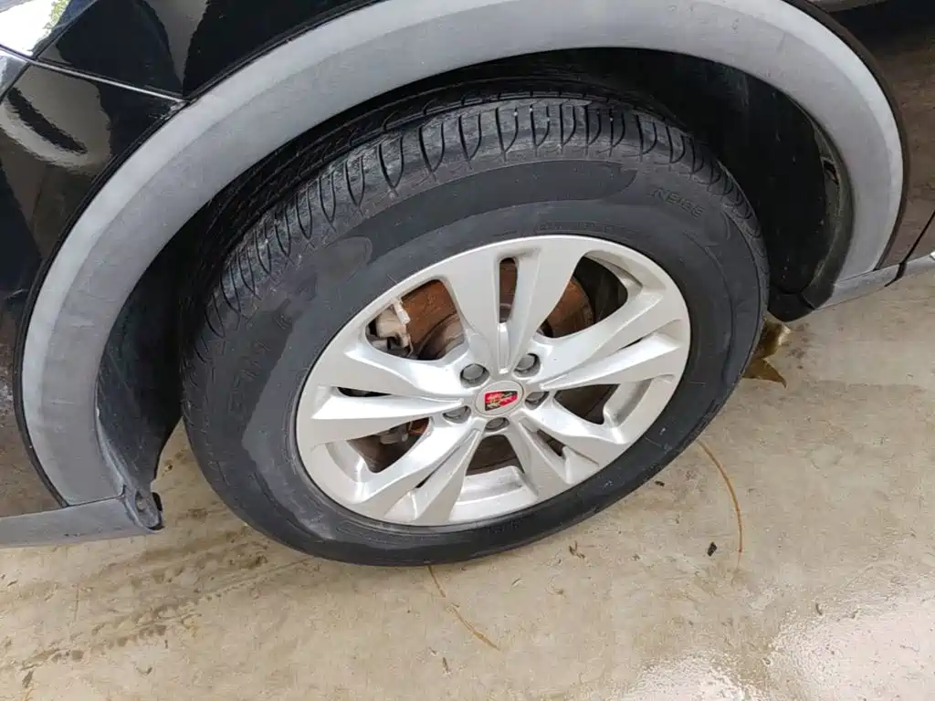 Фото 23 - Roewe RX3