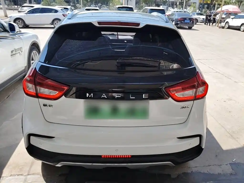 Ruilan Auto Maple 30X 2020 2020 Prestige Edition