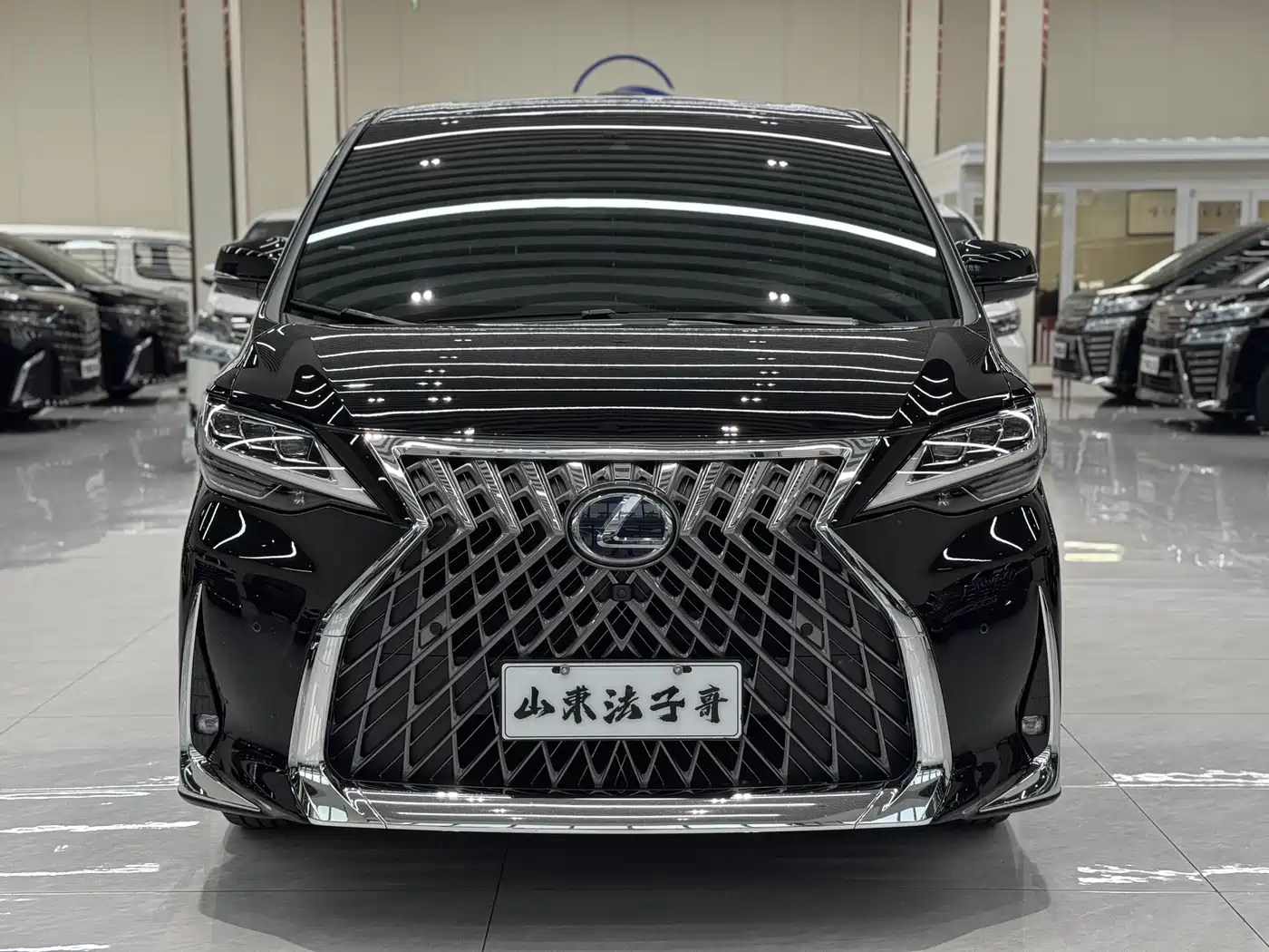 Lexus LM 2020 300h 4-Seat Imperial Edition фото 2