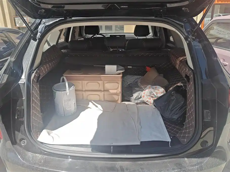Haval H6 2024 Model 1.5T 2WD Classic Edition фото 4