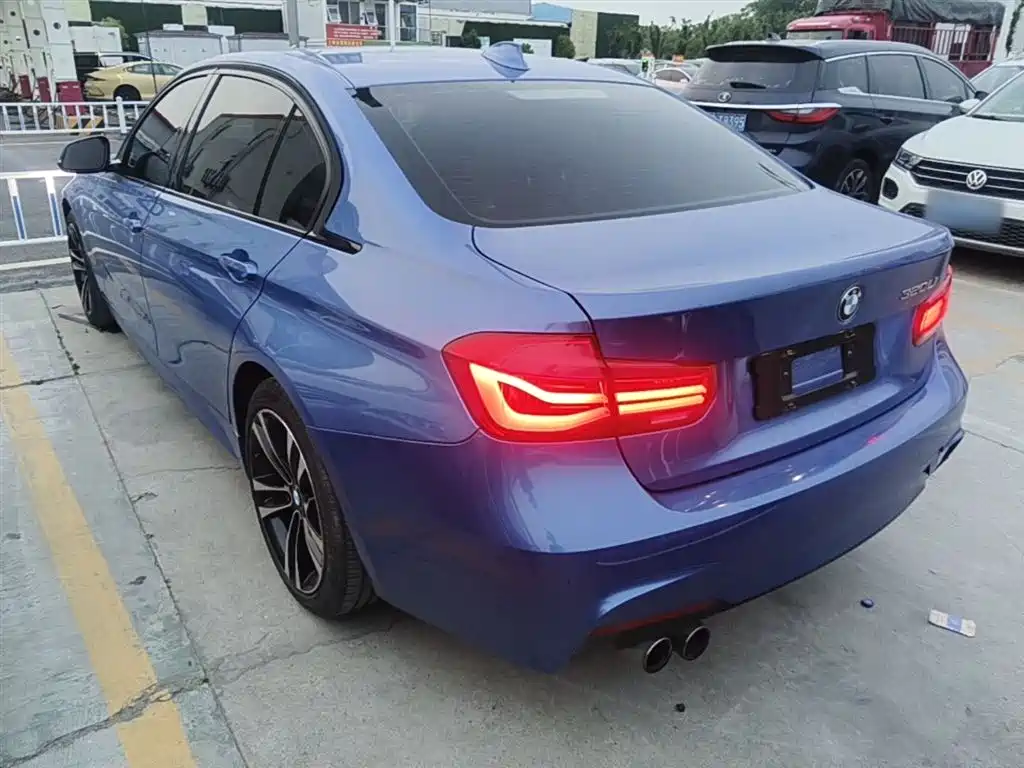 BMW 3 Series 2019 320Li M Sport Package фото 5