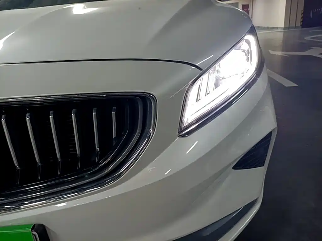 Geely Borui PHEV 2021 2021 1.5T ePro Leading Edition