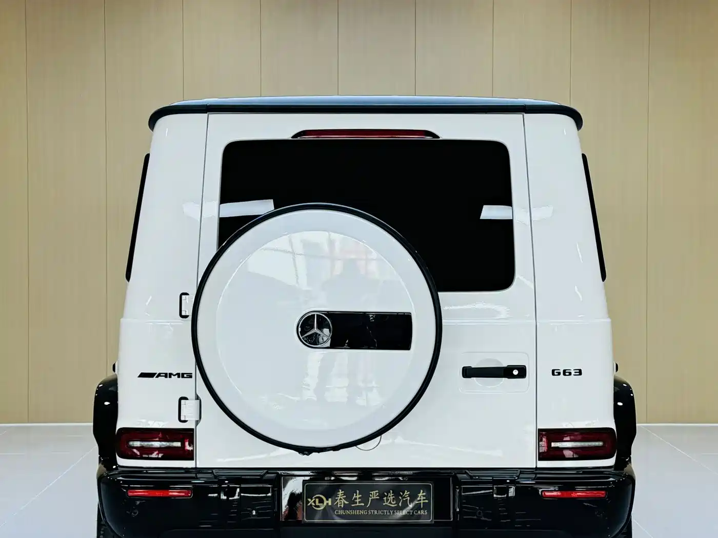 Mercedes-Benz G-Class 2022 G 500 фото 15