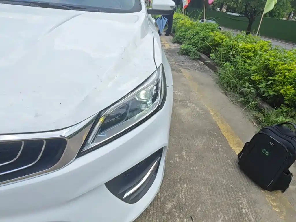 Geely Binrui 2019 2019 200T DCT Binshi Edition