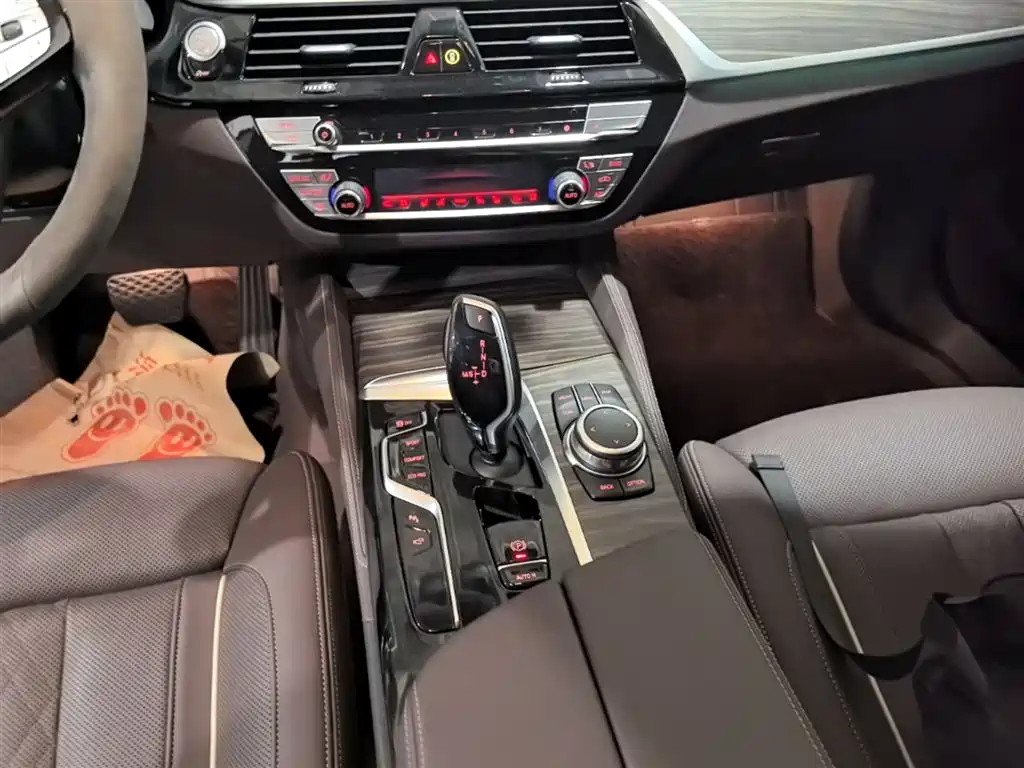 BMW 5 Series 2022 Facelift II 530Li Luxury Trim Premium Package фото 14