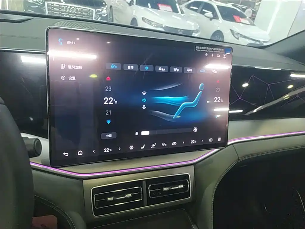 BYD Song L DM-i 2025 Smart Drive 160km Premium фото 13