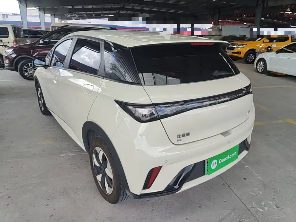 BYD Dolphin 2025 2025 420km Freedom Edition