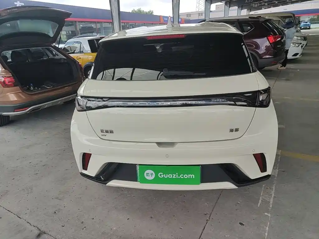 BYD Dolphin 2025 2025 420km Freedom Edition