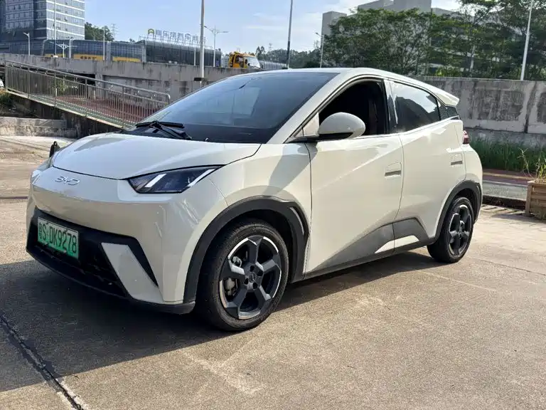BYD Seagull 2024