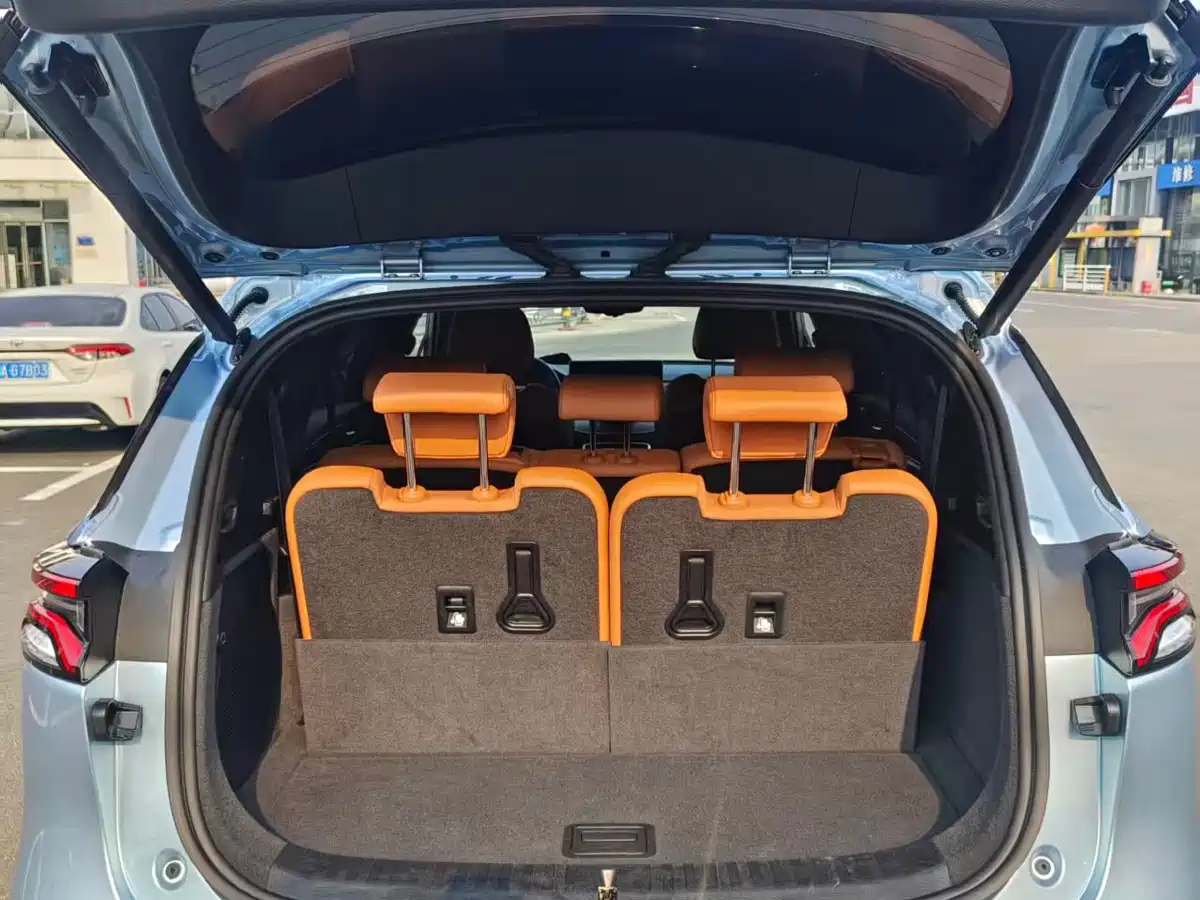 BYD Tang New Energy 2023 Model DM-i Champion Edition 112KM Honor фото 12