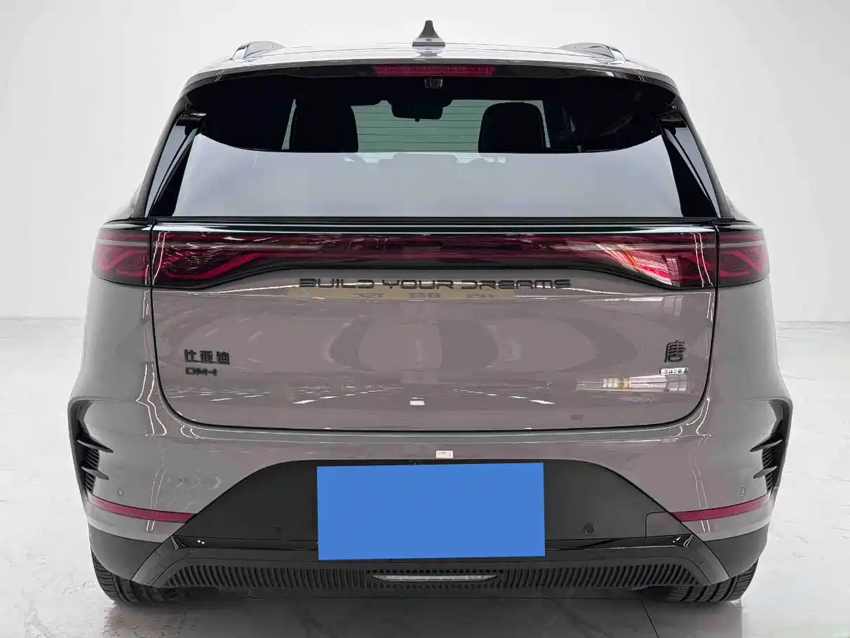 BYD Tang New Energy 2025 2025 Smart Driving Edition DM-i 115KM Premium