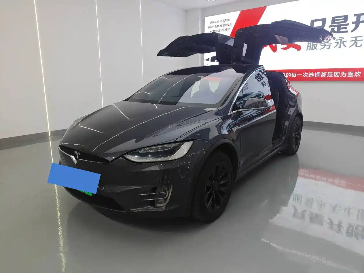 Фото 7 - Tesla Model X
