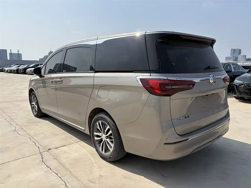Buick GL8 2023 ES Landmaster Exclusive фото 8