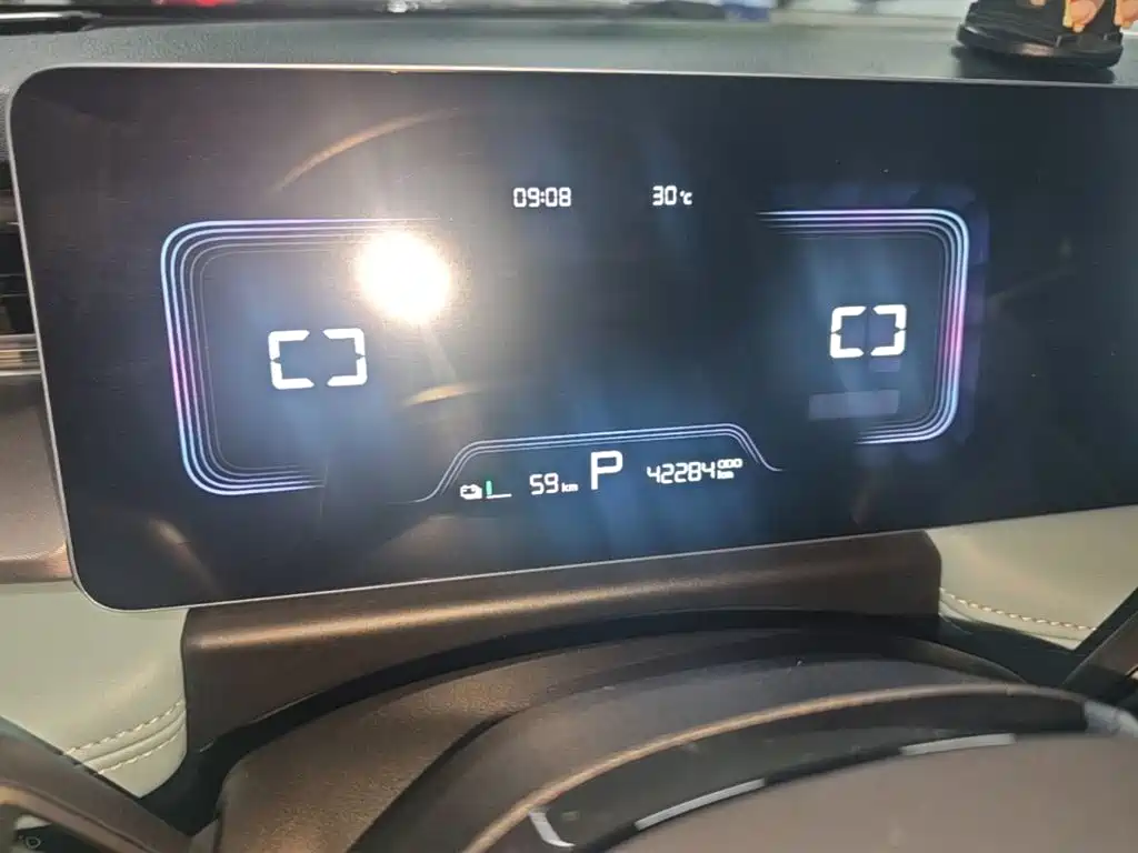 Geely Geometry E Firefly 2024 2024 Model 301km Starlight