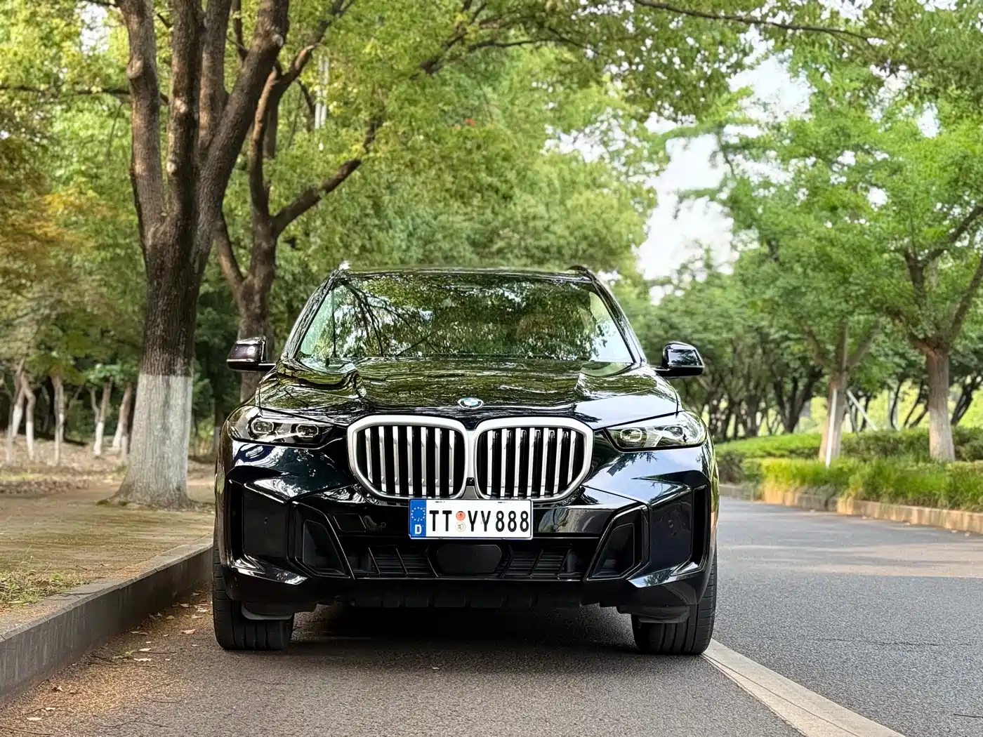 BMW X5 2023 xDrive 30Li Premium M Sport Black Night Package фото 2