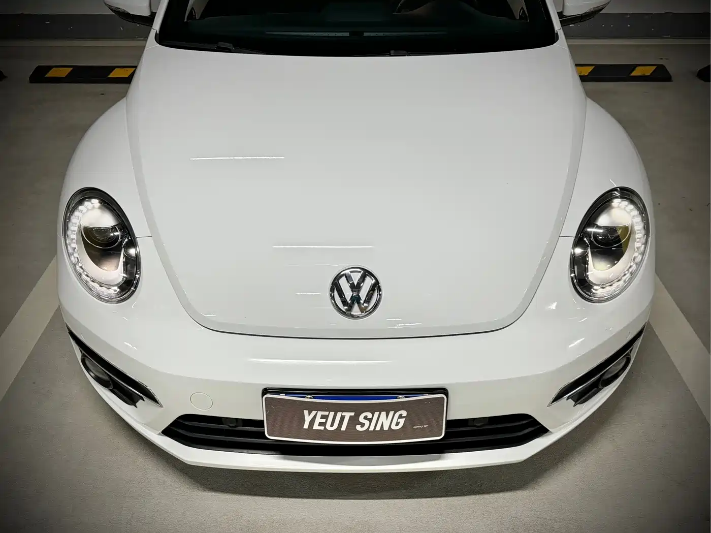 صورة 4 - Volkswagen Beetle